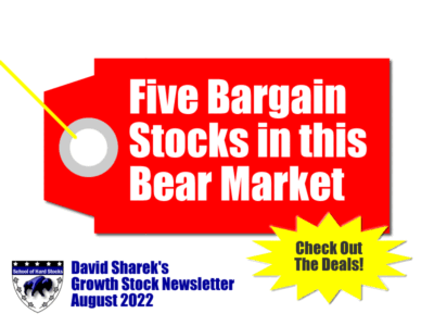 Five Bargain Stocks in this Bear Market by David Sharek's Growth Stock Newsletter August 2022.